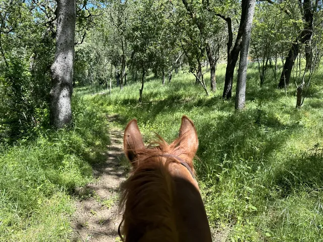 $5,750,000 | 15393 Vía Caballero, Monte Sereno, CA 95030