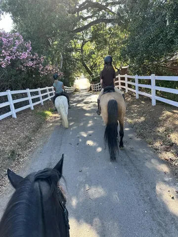 $5,750,000 | 15393 Vía Caballero, Monte Sereno, CA 95030