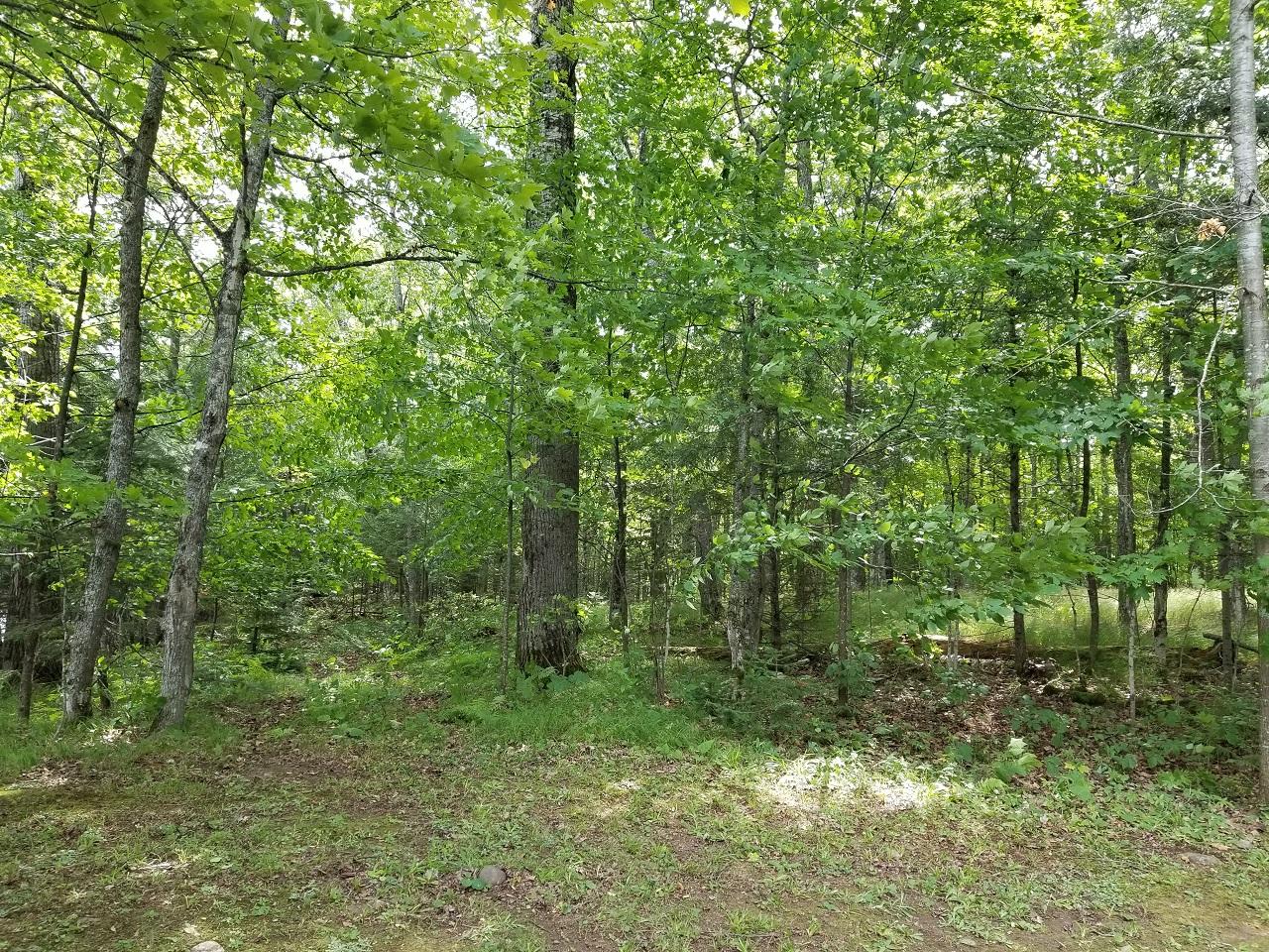5976 Scott Road Mercer, WI 54547 - Photo 38 of 40 Gallery Image 38