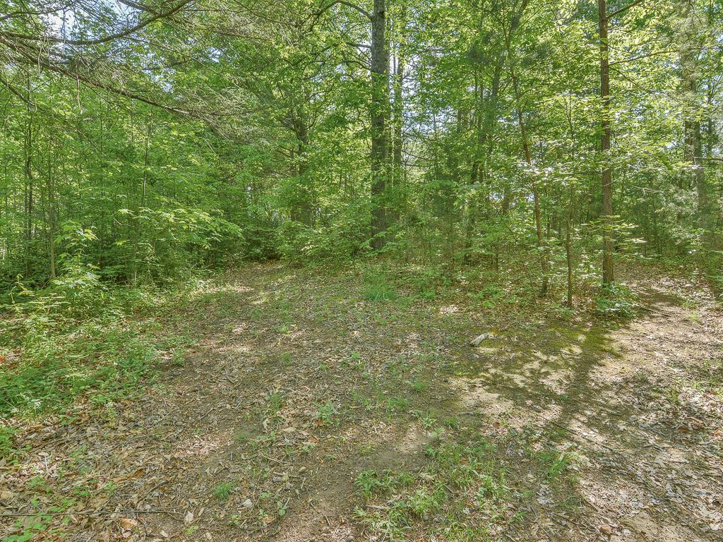 122 Donald Broyles Road Chuckey, TN 37641 - Photo 29 of 30 Nice Wooded Area