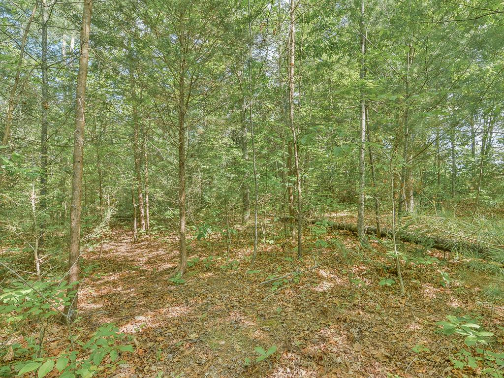 122 Donald Broyles Road Chuckey, TN 37641 - Photo 30 of 30 Cut Trails To Enjoy