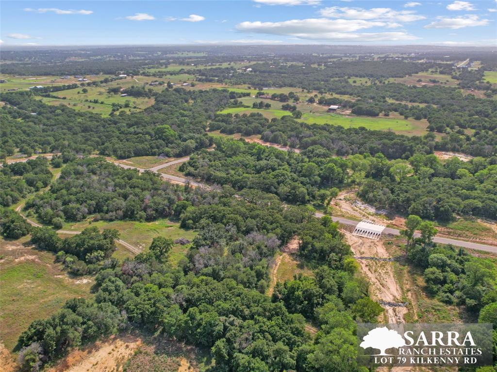 Lot 79 Kilkenney Road Poolville, TX 76487 - Photo 8 of 11