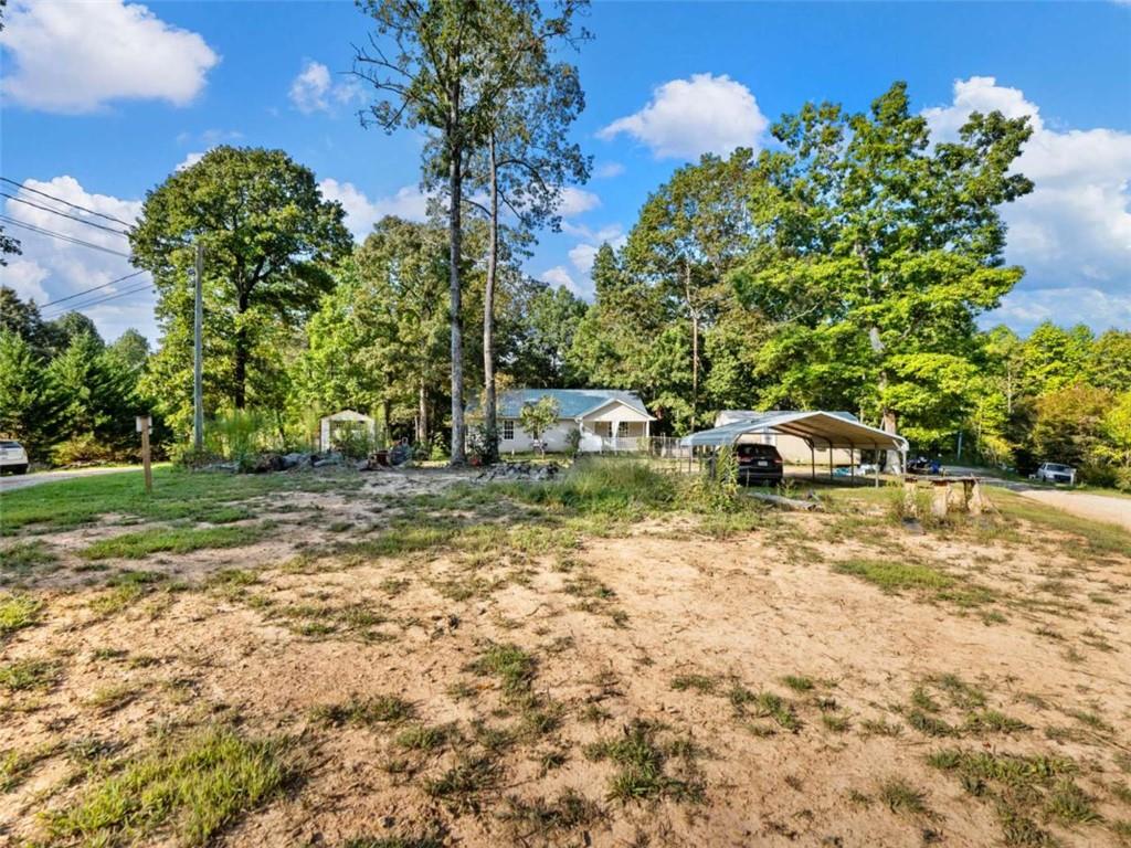 310 Georgian Terrace Alto, GA 30510 - Photo 21 of 39 a small garden covered with tall trees