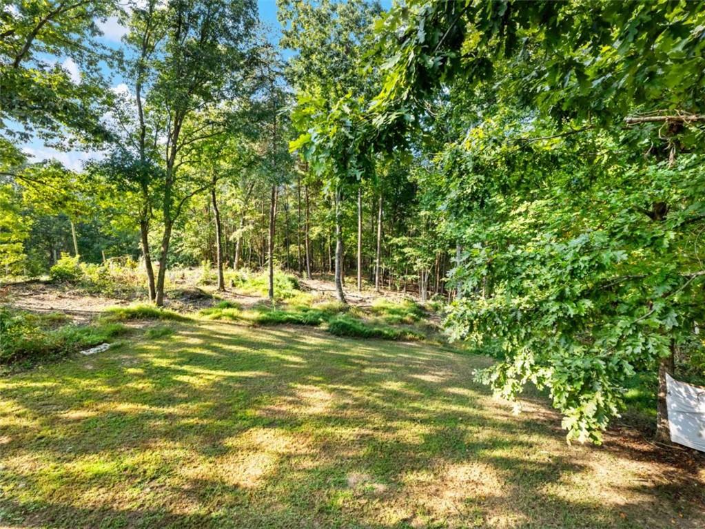 310 Georgian Terrace Alto, GA 30510 - Photo 29 of 39 a view of a yard with a tree