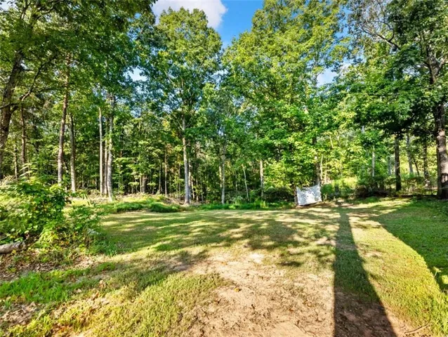 a view of a yard with a trees