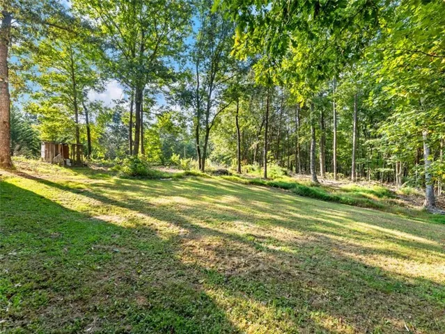 a view of a trees in a park