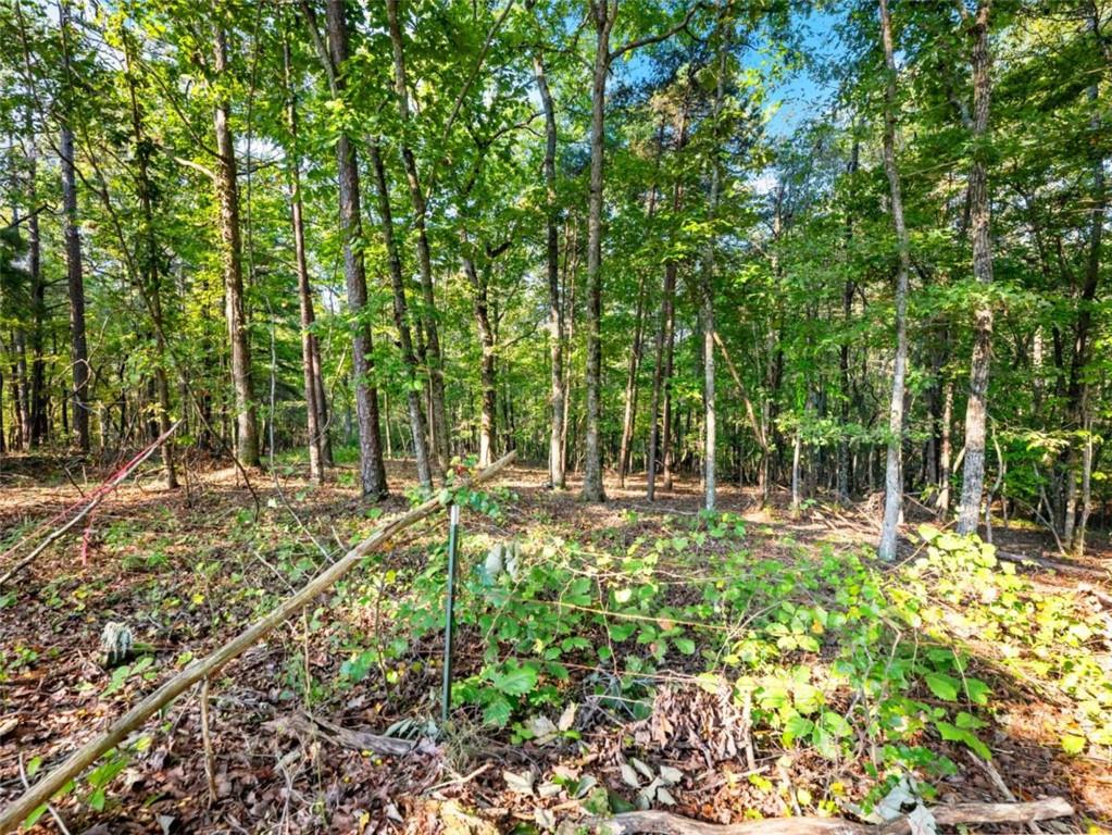 310 Georgian Terrace Alto, GA 30510 - Photo 36 of 39 a view of a yard with large trees
