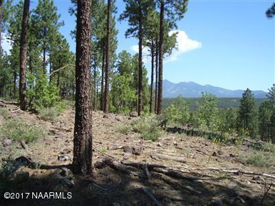 3965 South Flagstaff Ranch Road Flagstaff, AZ 86005 - Photo 3 of 4 Stunning view of peaks