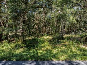 Huff Road Eustis, FL 32736 - Photo 6 of 7 Gallery Image 6