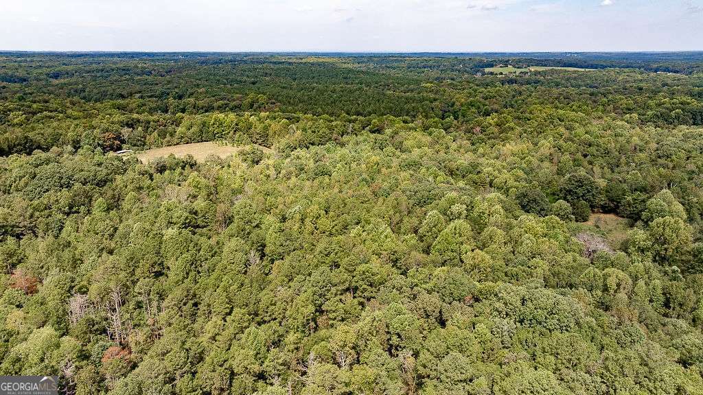 28-acres Irvin Kirk Road Danielsville, GA 30633 - Photo 11 of 25