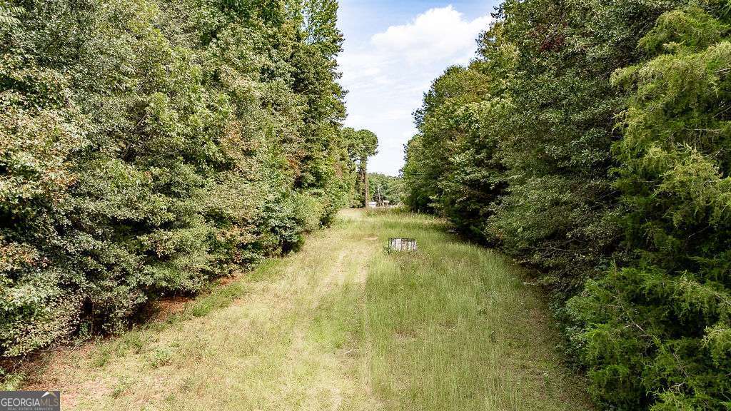 28-acres Irvin Kirk Road Danielsville, GA 30633 - Photo 12 of 25