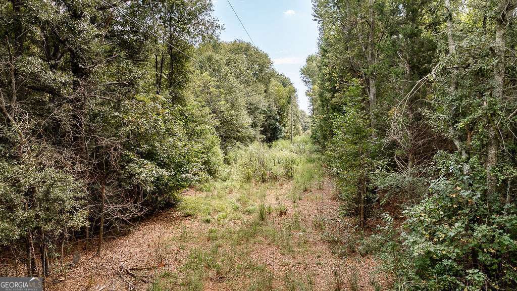 28-acres Irvin Kirk Road Danielsville, GA 30633 - Photo 13 of 25