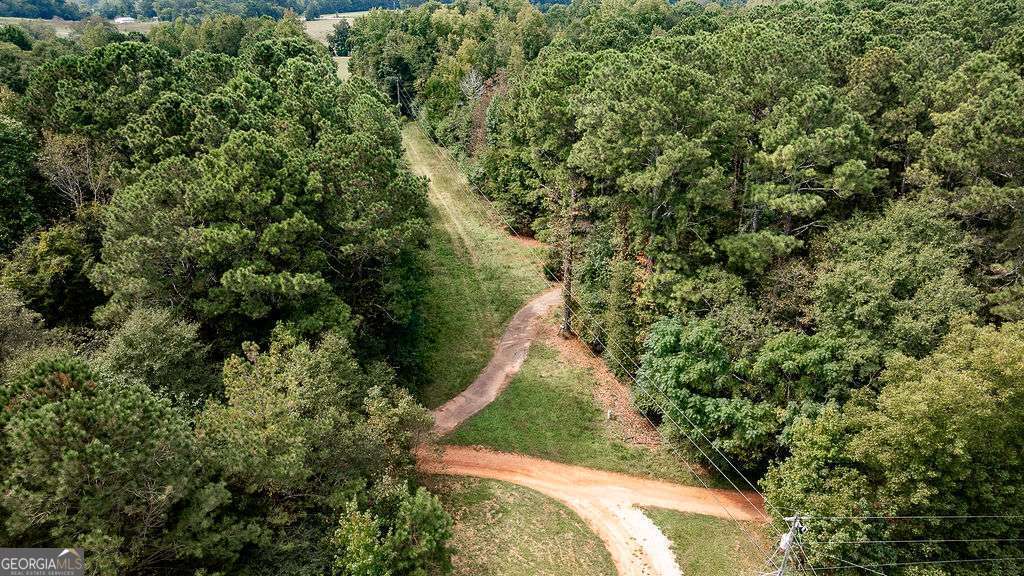 28-acres Irvin Kirk Road Danielsville, GA 30633 - Photo 14 of 25