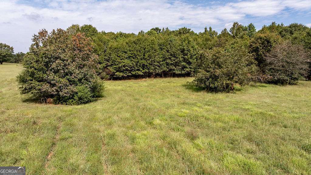 28-acres Irvin Kirk Road Danielsville, GA 30633 - Photo 16 of 25