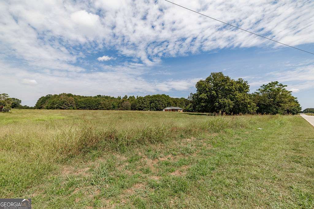 28-acres Irvin Kirk Road Danielsville, GA 30633 - Photo 18 of 25