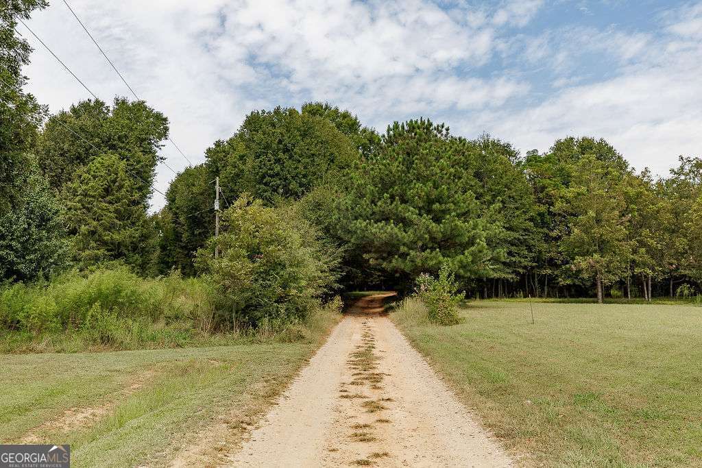 28-acres Irvin Kirk Road Danielsville, GA 30633 - Photo 19 of 25