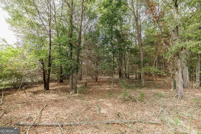 $238,000 | 28-acres Irvin Kirk Road, Danielsville, GA 30633