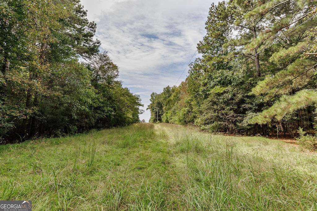 28-acres Irvin Kirk Road Danielsville, GA 30633 - Photo 22 of 25