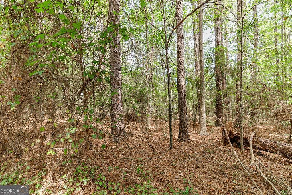 28-acres Irvin Kirk Road Danielsville, GA 30633 - Photo 25 of 25