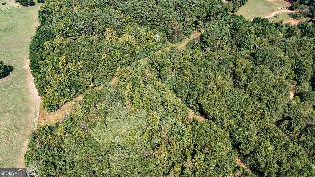 28-acres Irvin Kirk Road Danielsville, GA 30633 - Photo 8 of 25