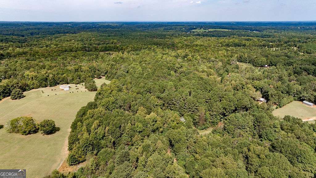 28-acres Irvin Kirk Road Danielsville, GA 30633 - Photo 9 of 25