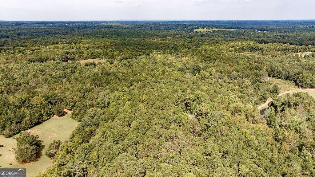 28-acres Irvin Kirk Road Danielsville, GA 30633 - Photo 10 of 25