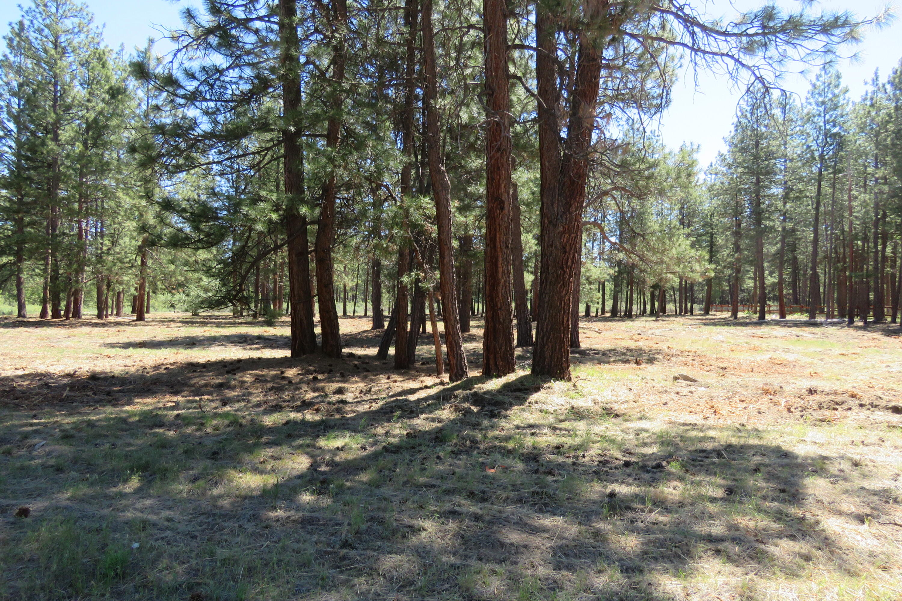 7 Castle Drive Chiloquin, OR 97624 - Photo 5 of 26 IMG_4597
