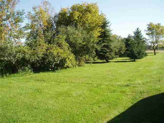 6745 Townsend Road Applegate, MI 48401 - Photo 28 of 28 31066937-27.JPG