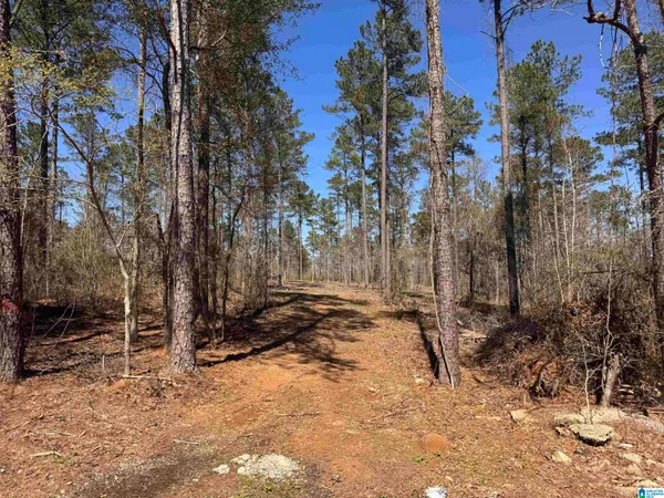 $829,000 | 0 Finnell Road, Northport, AL 35475