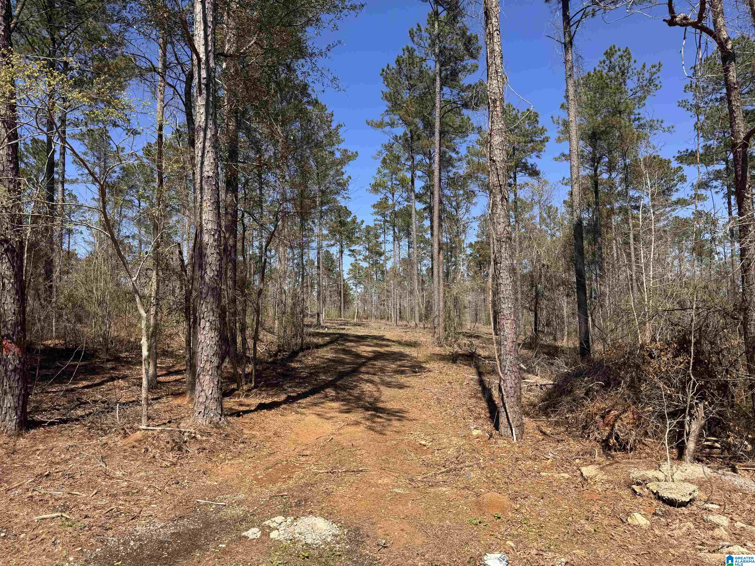 0 Finnell Road Northport, AL 35475 - Photo 1 of 6