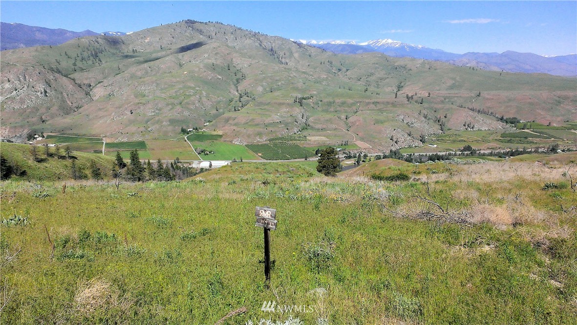 110 Cowboy Road Methow, WA 98834 - Photo 1 of 16