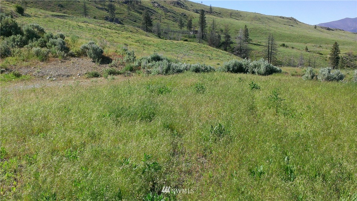 110 Cowboy Road Methow, WA 98834 - Photo 10 of 16