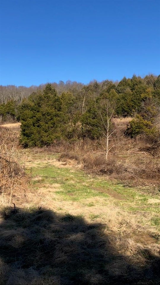 2248 Eudora Road Cave City, KY 42127 - Photo 5 of 10 Gallery Image 5