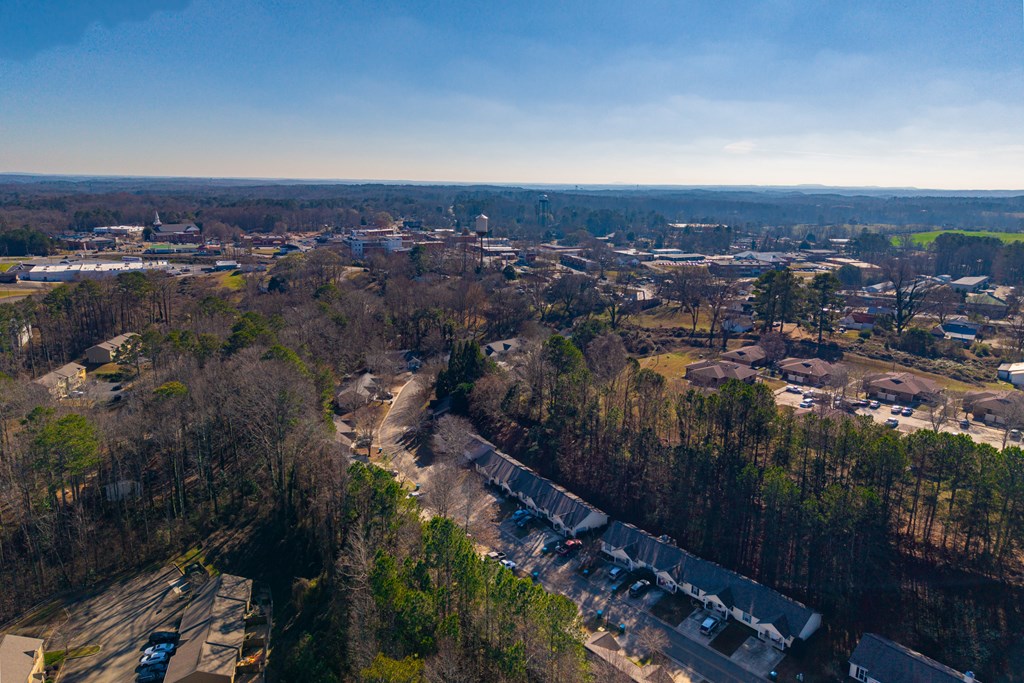 172 Jacobs Way Jasper, GA 30143 - Photo 11 of 13 an aerial view of multiple house