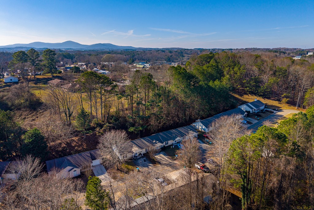 172 Jacobs Way Jasper, GA 30143 - Photo 8 of 13 a view of lake with mountain