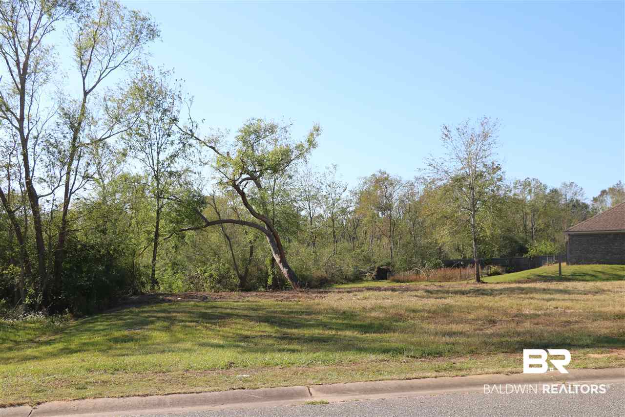 Lot 41 Thames Drive Foley, AL 36535 - Photo 7 of 14