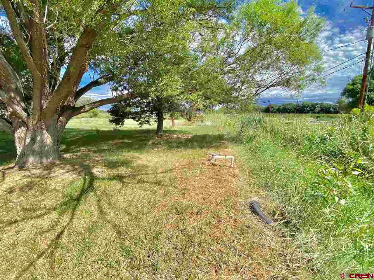 6443 Church Road Olathe, CO 81425 - Photo 26 of 31 Gallery Image 26