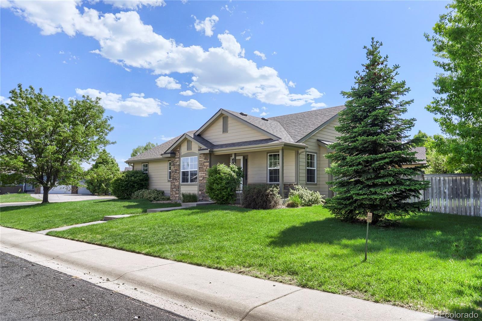 654 Foxtail Way Windsor, CO 80550 - Photo 1 of 30