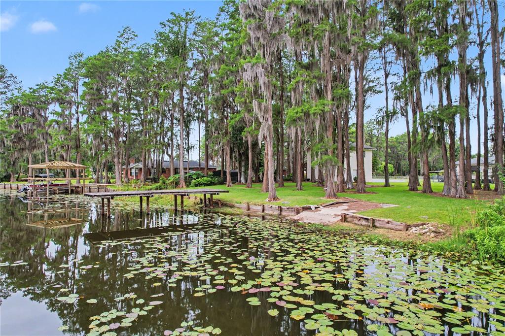 17305 Sherman Road Lutz, FL 33558 - Photo 78 of 89