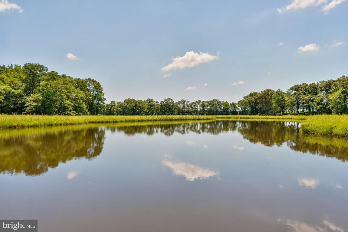 11042 Stewart Neck Road Princess Anne, MD 21853 - Photo 36 of 46 Gallery Image 36