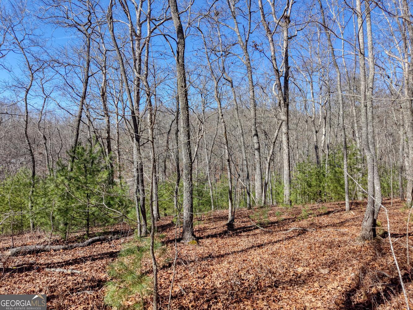Lot 40 Lola Mae Way Morganton, GA 30560 - Photo 16 of 18