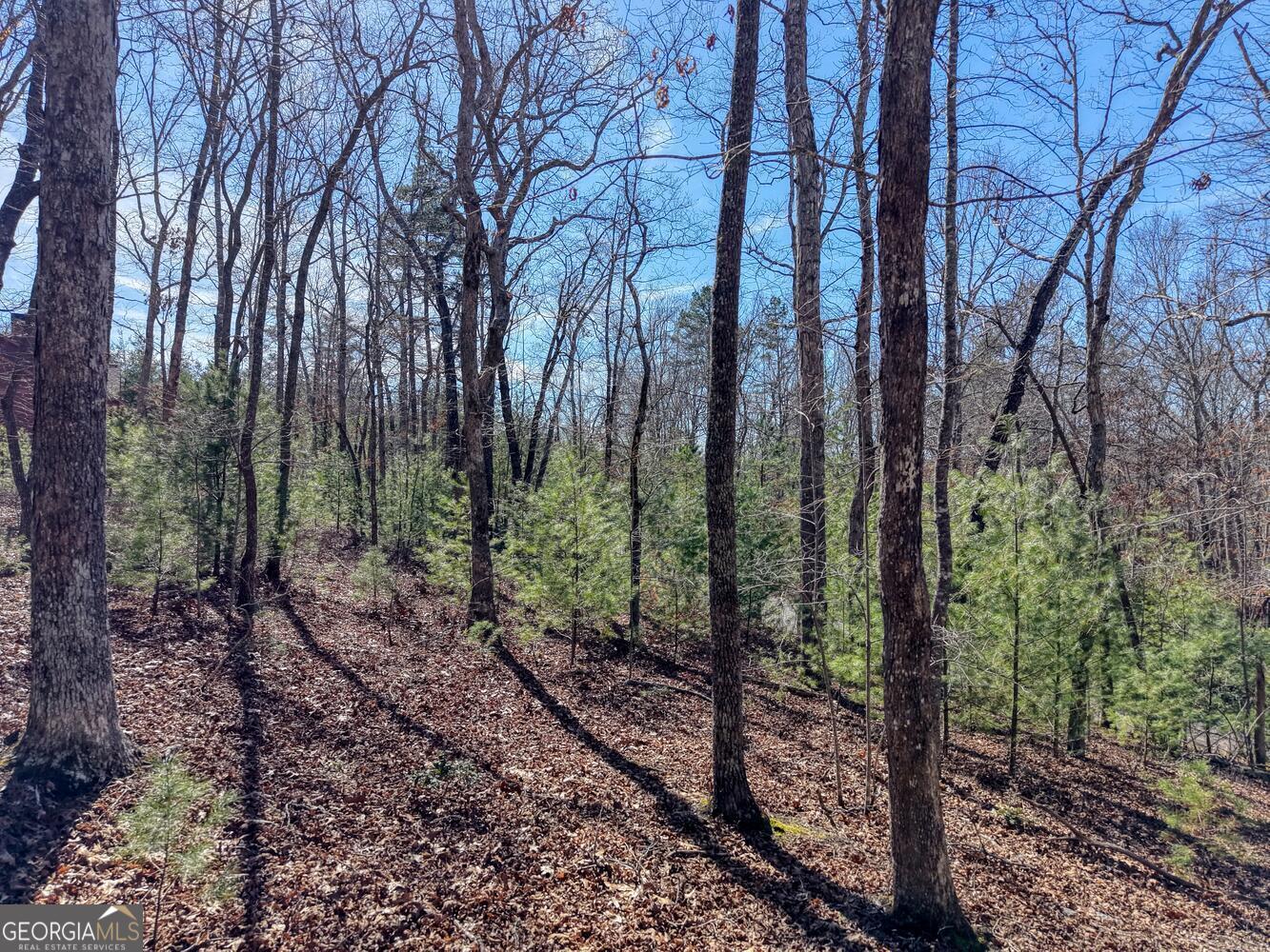 Lot 40 Lola Mae Way Morganton, GA 30560 - Photo 17 of 18