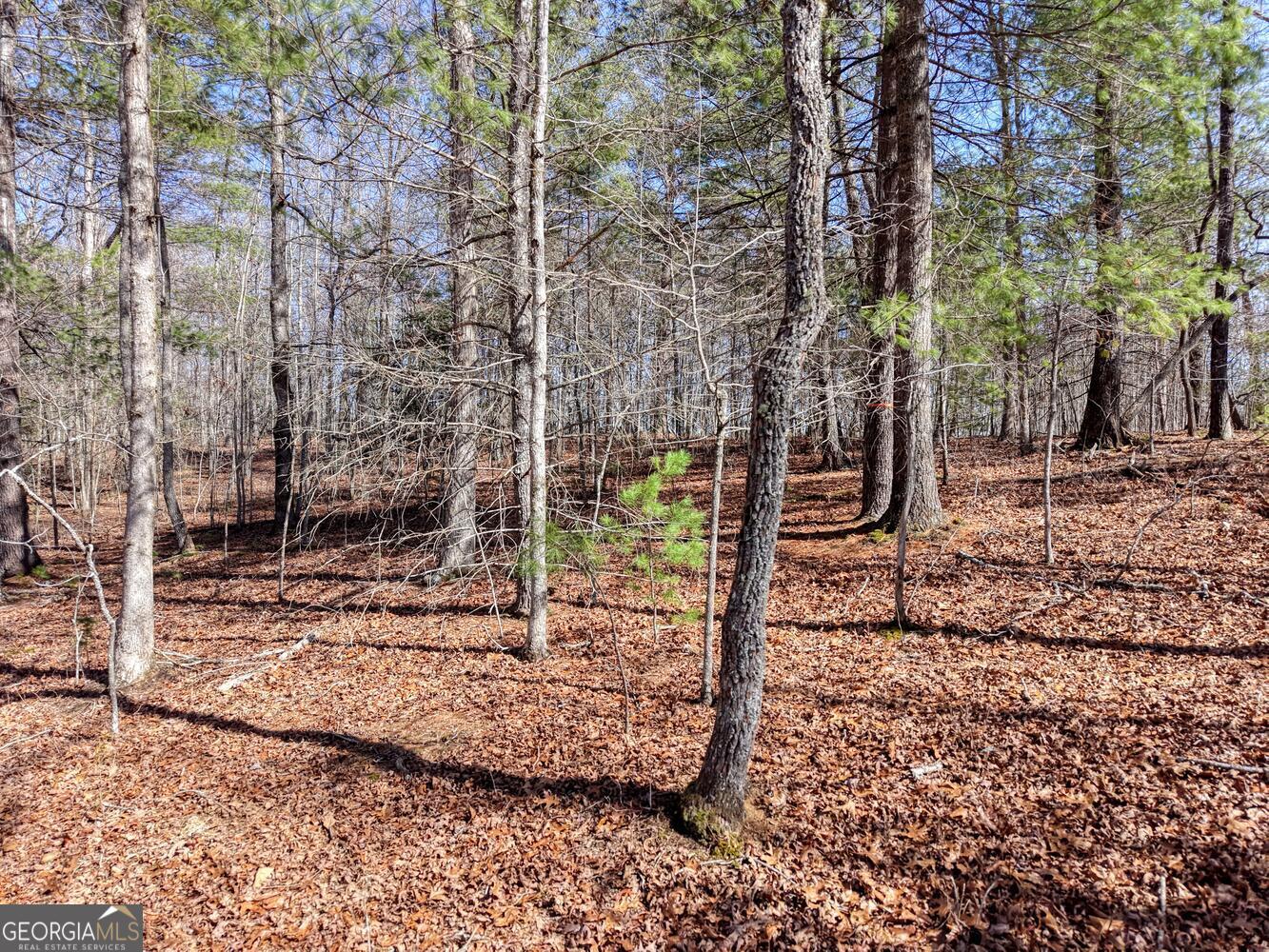Lot 40 Lola Mae Way Morganton, GA 30560 - Photo 18 of 18