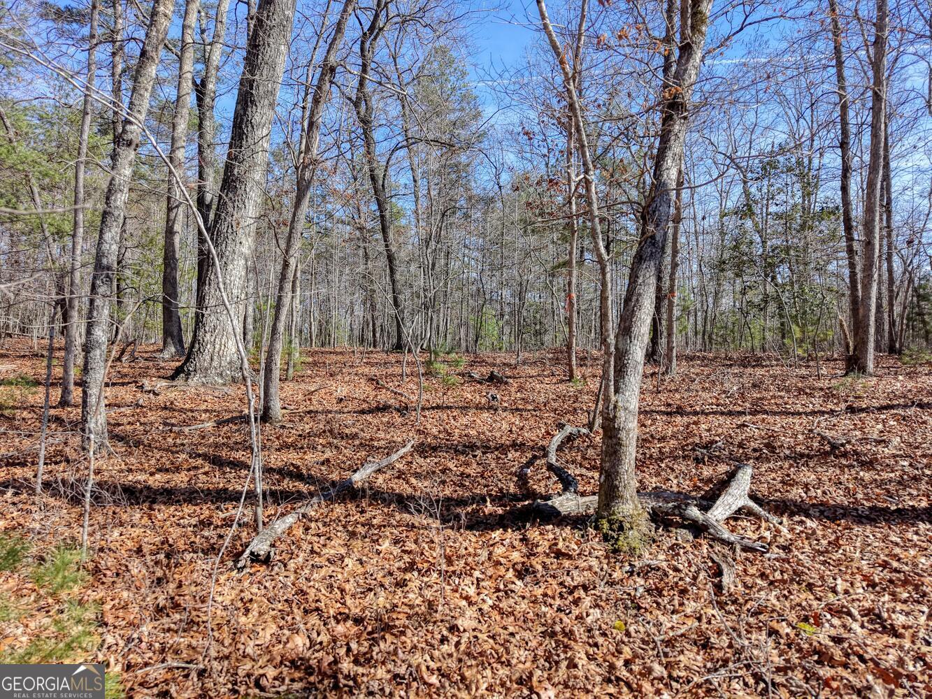 Lot 40 Lola Mae Way Morganton, GA 30560 - Photo 3 of 18