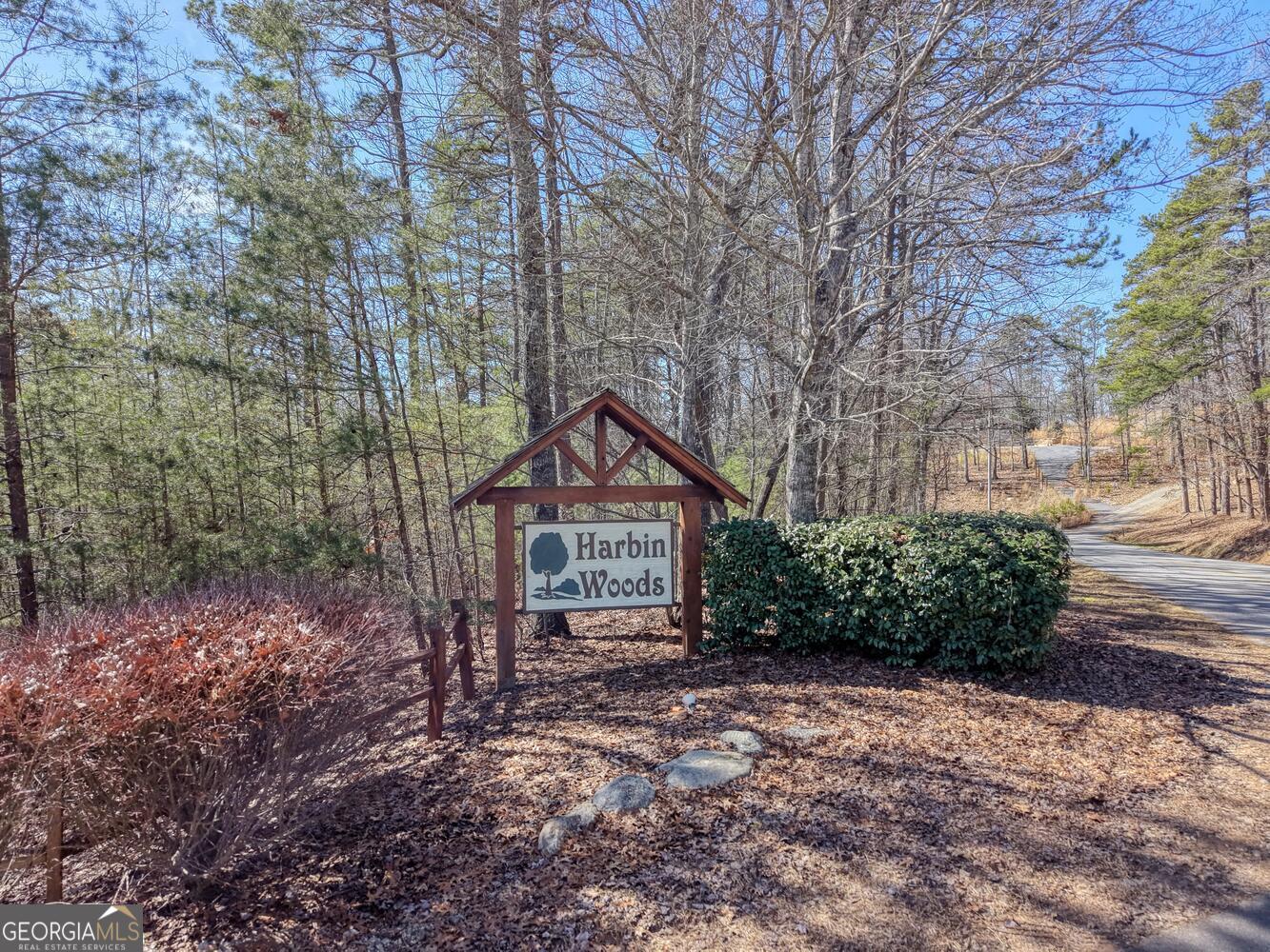 Lot 40 Lola Mae Way Morganton, GA 30560 - Photo 4 of 18