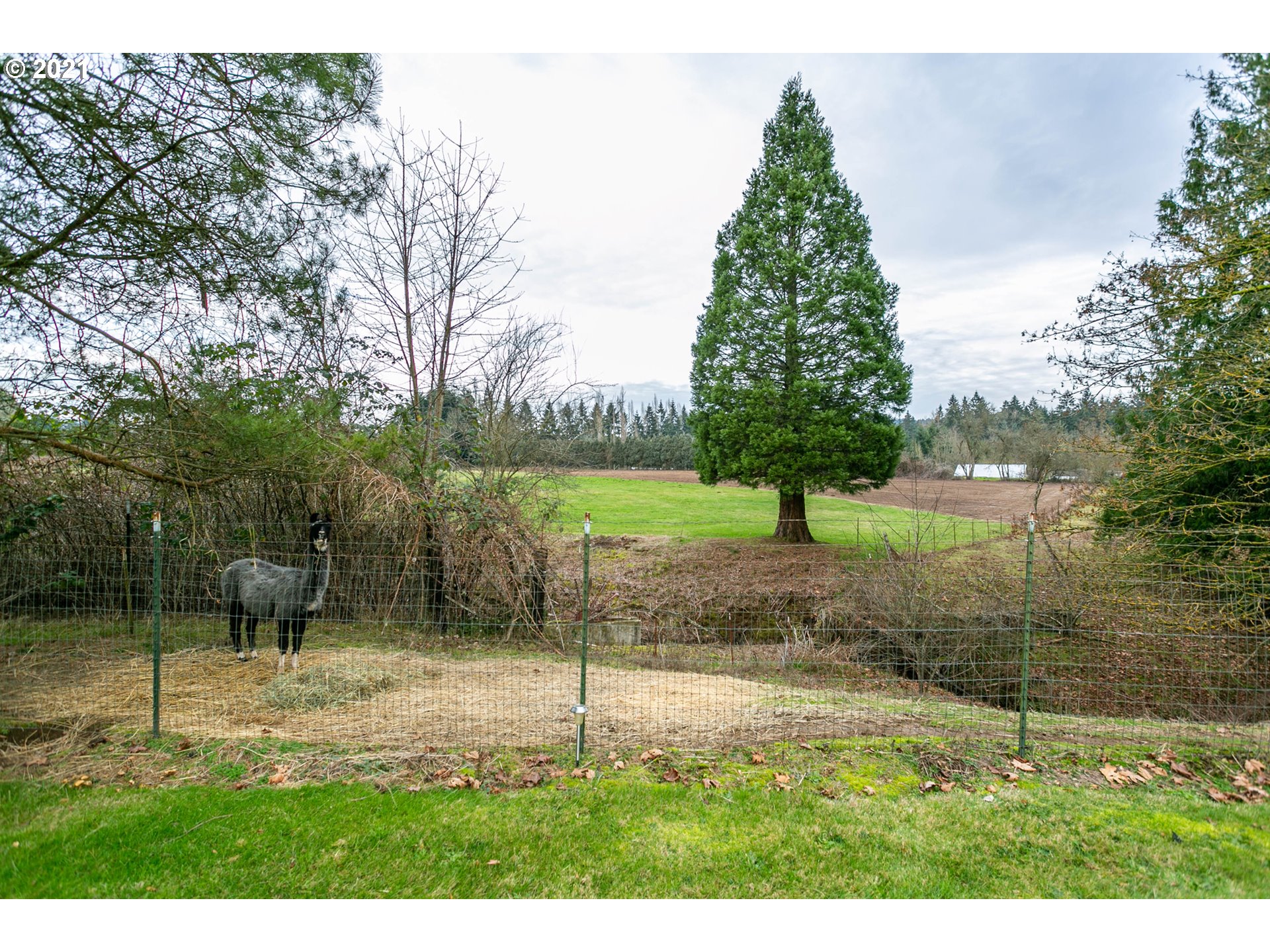 1381 Southwest Borland Road West Linn, OR 97068 - Photo 27 of 29 Gallery Image 27