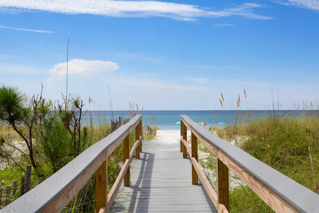 a view of swimming pool from a yard