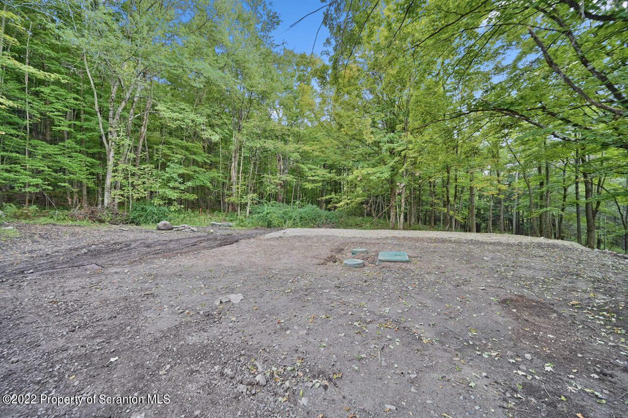 549 Gravity Road Lake Ariel, PA 18436 - Photo 56 of 62 a view of a field with trees in the background