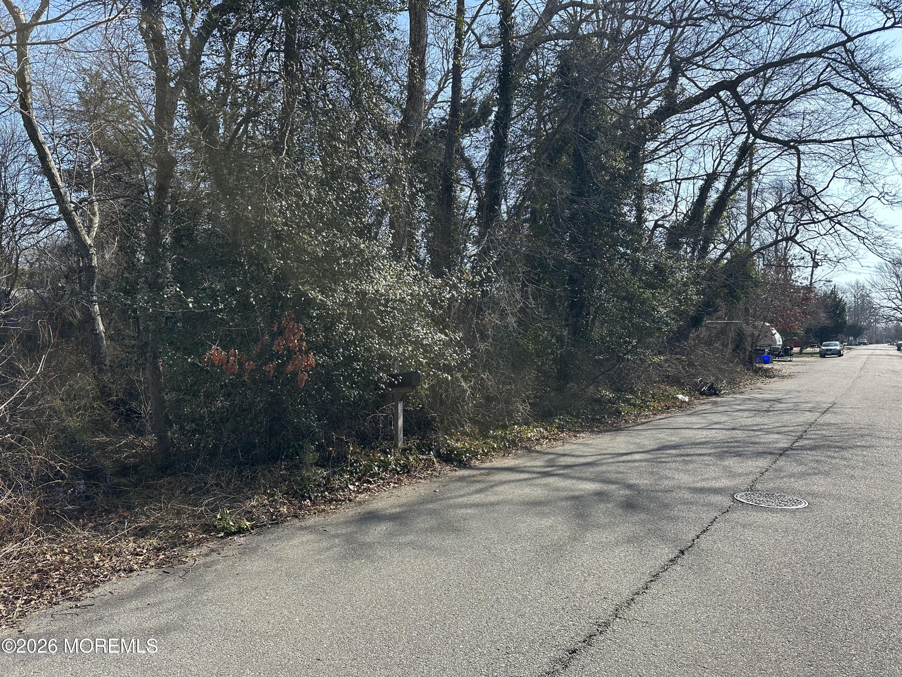 53 Bonita Road Waretown, NJ 08758 - Photo 3 of 7 a view of backyard with green space