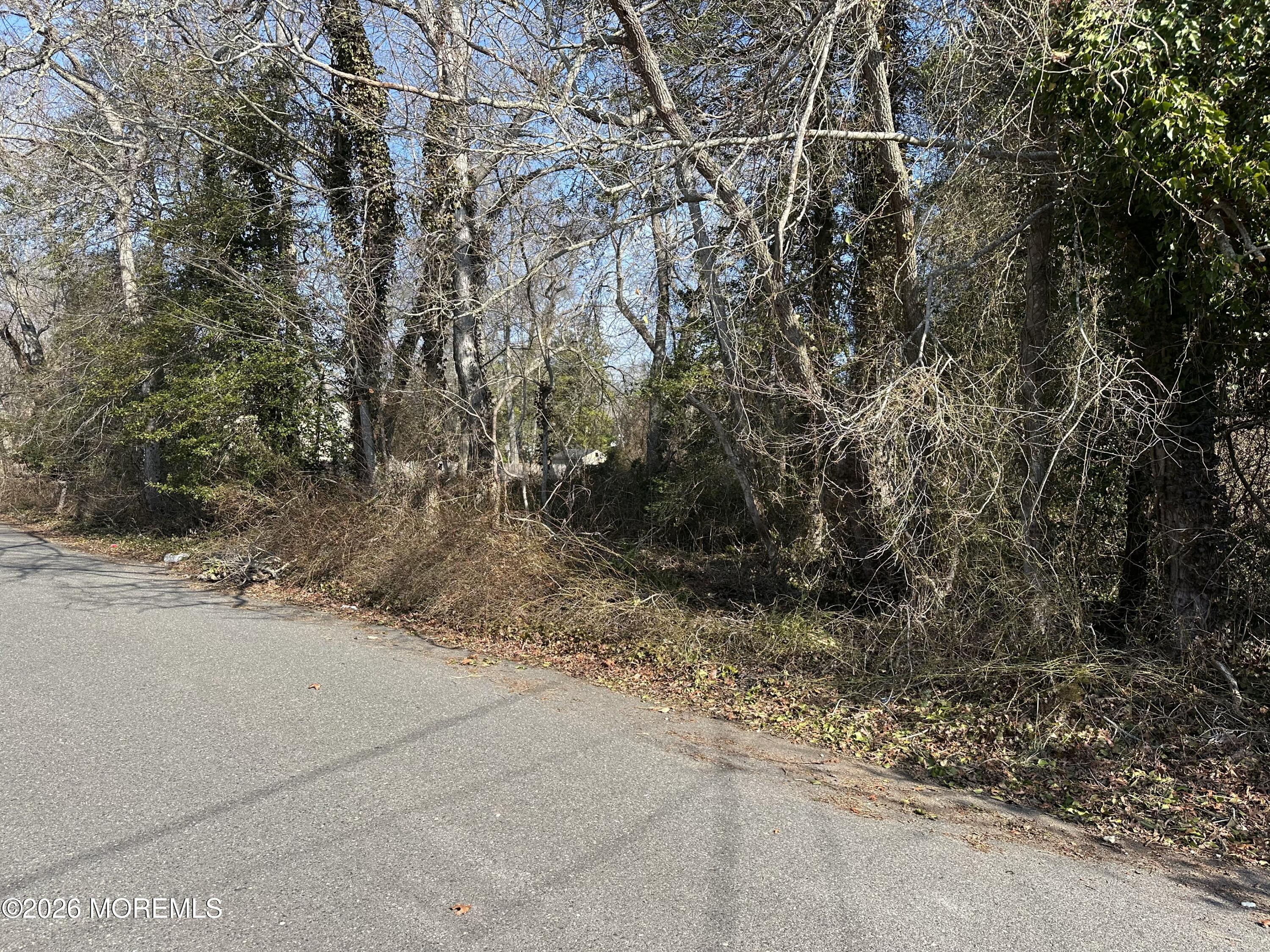 53 Bonita Road Waretown, NJ 08758 - Photo 5 of 7 a view of a yard with a tree